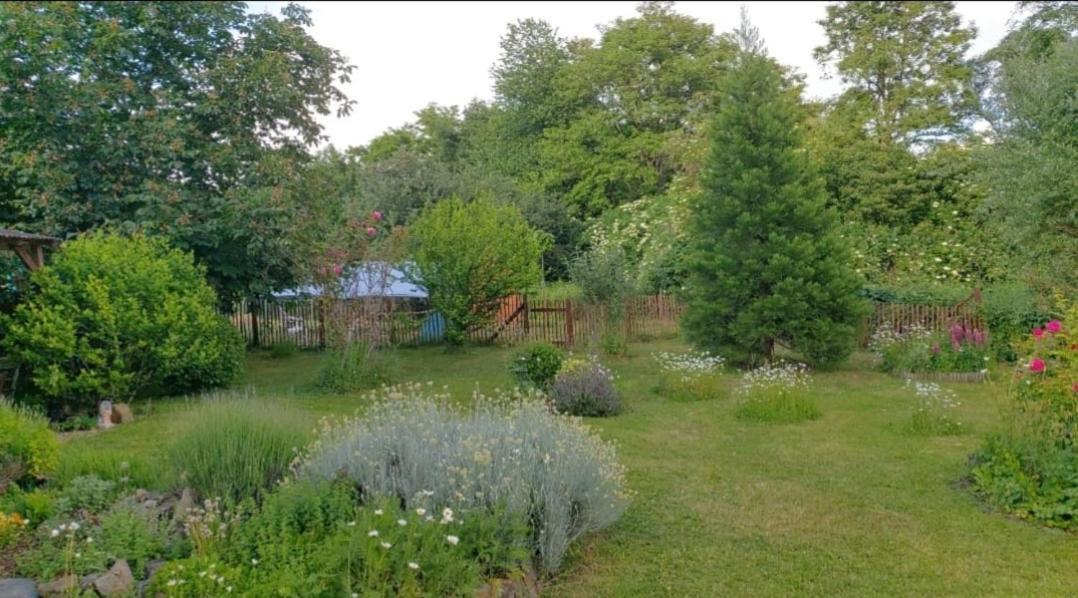 Orangerie Zimmer Gehaichnishof 7Born Maring-Noviand ภายนอก รูปภาพ